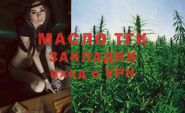 дмт Абаза