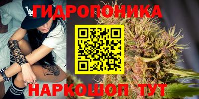 jwh Кимры