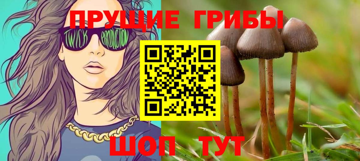 Псилоцибиновые грибы Cubensis  Вход с VPN  Моздок  Галлюциногенные грибы Psilocybine cubensis 