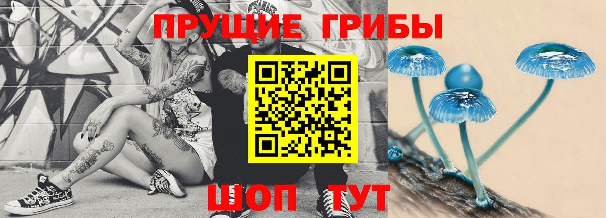 Галлюциногенные грибы прущие грибы Моздок
